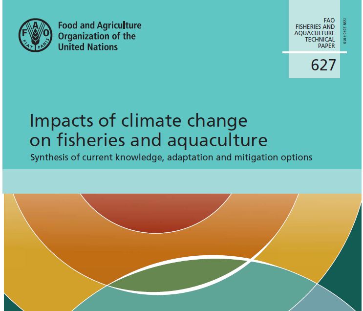 CERES Scientists Contribute Expertise to FAO Synthesis Report of Climate Change Impacts on Fisheries and Aquaculture