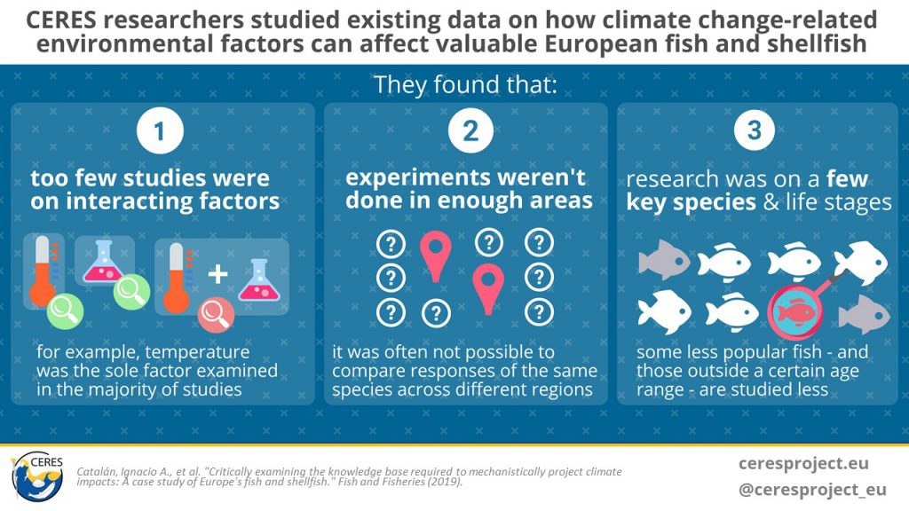 Infographic showing the main points from the paper