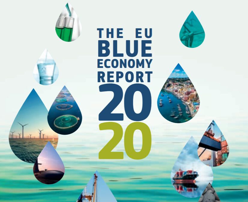 Logo of EU Blue Economy Report 2020